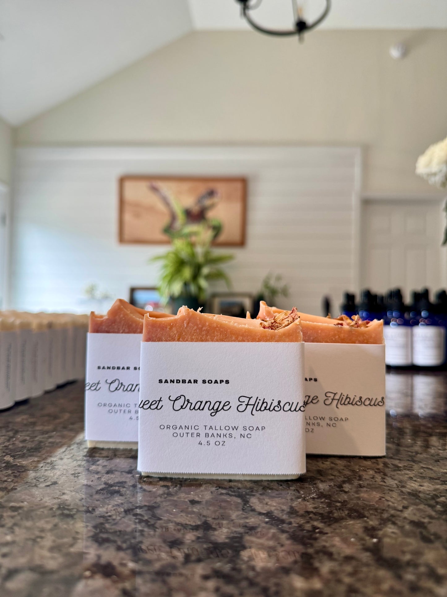 Sweet Orange Hibiscus